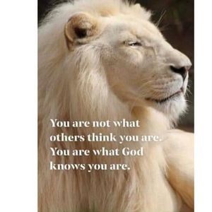 Meet your Posher, Sonia